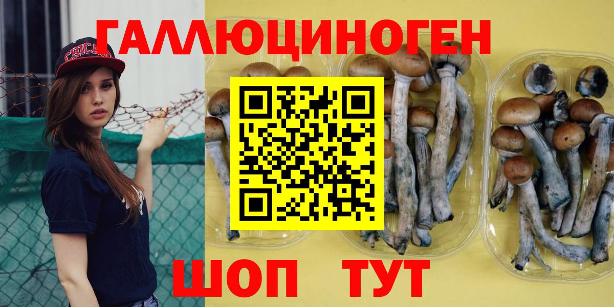 Воскресенск  Галлюциногенные грибы MAGIC MUSHROOMS  Вход с VPN 